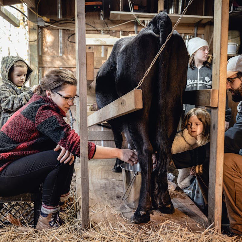 Todd & Marcia Schabel milk a cow with the help of the farmer's children.
