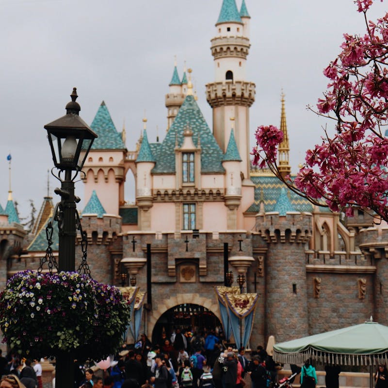 Shot of Disneyland Magic Castle in California with flowering tree and tall black lamppost
