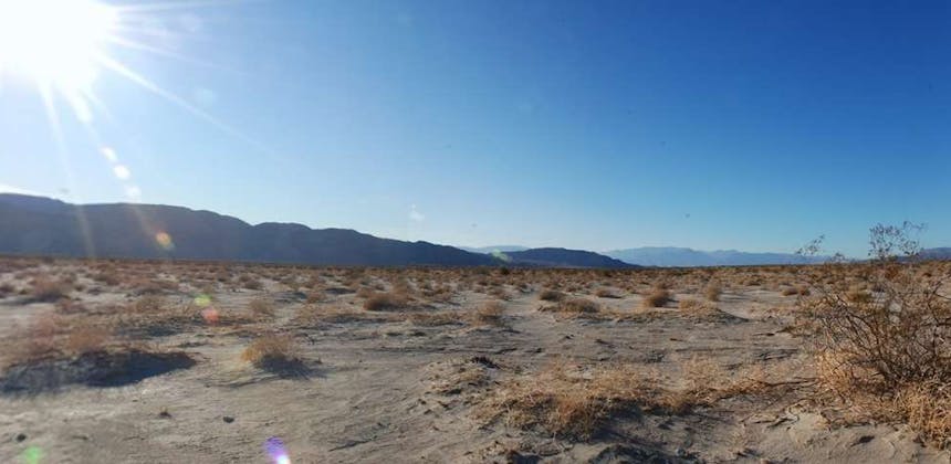 A dusty desert landscape at Ocotillo Wells SVRA.