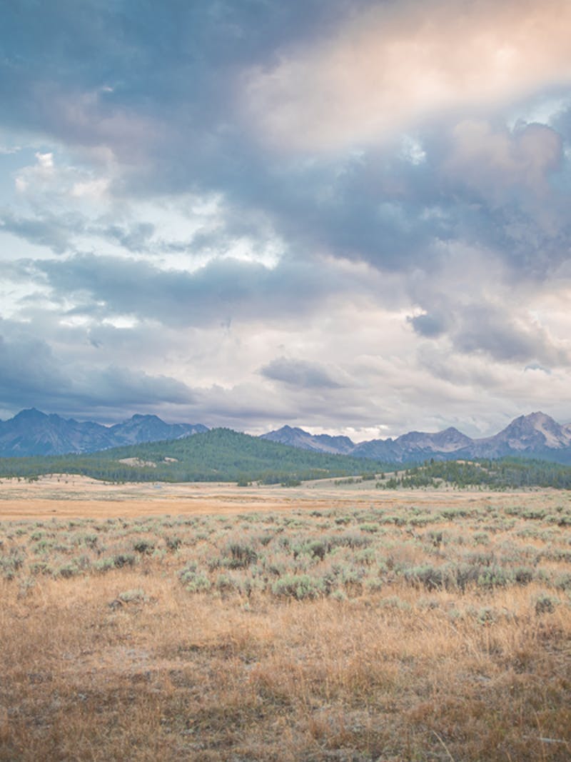 A landscape of grass and mountains in the distance.