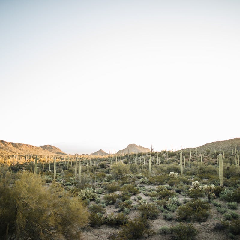 Landscape image of the open desert.