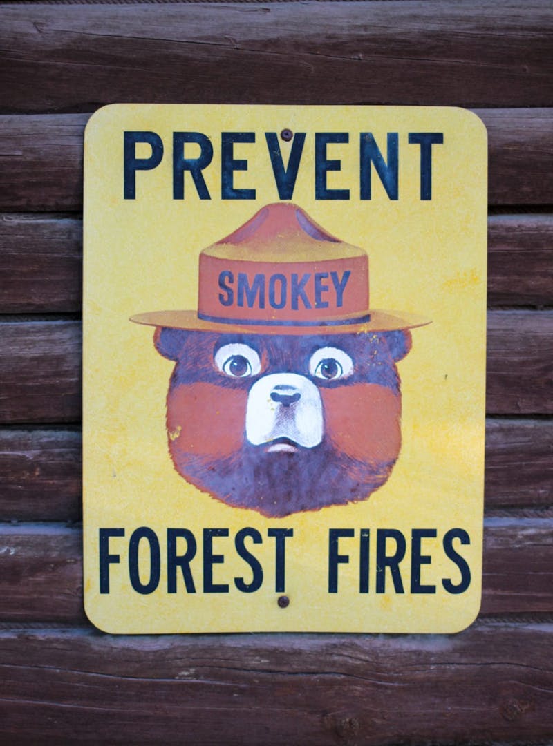 Yellow pop art style Smokey Bear sign