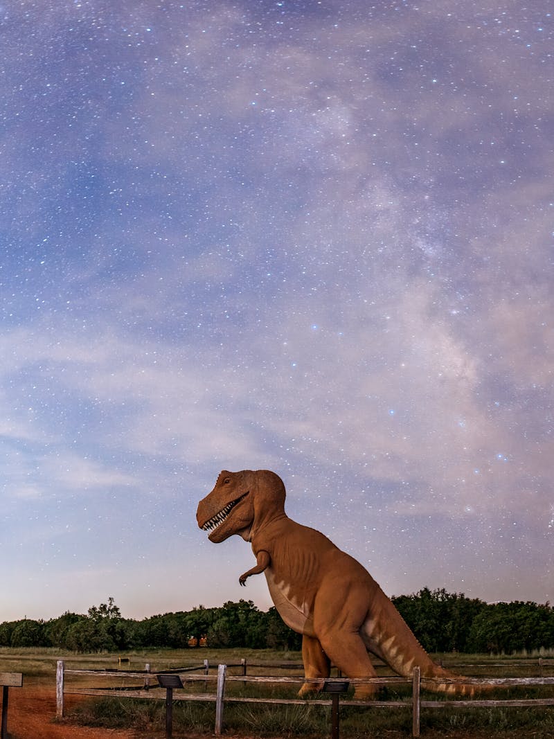 Dinosaur sculptures at Dinosaur Valley State Park