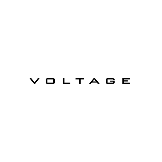 dutchmen voltage logo