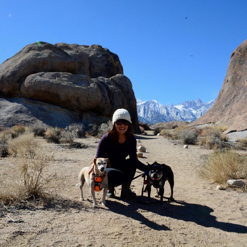 Dr. Na and her two dogs on a hike in the desert.