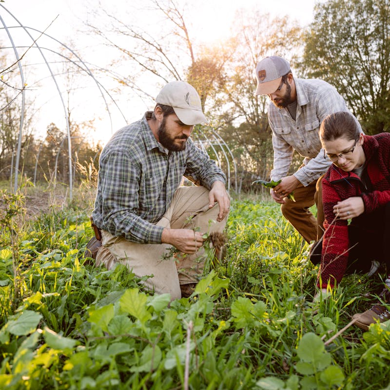 Todd & Marcia Schabel looking at crops with a farmer.