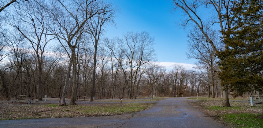 A road through bare trees.