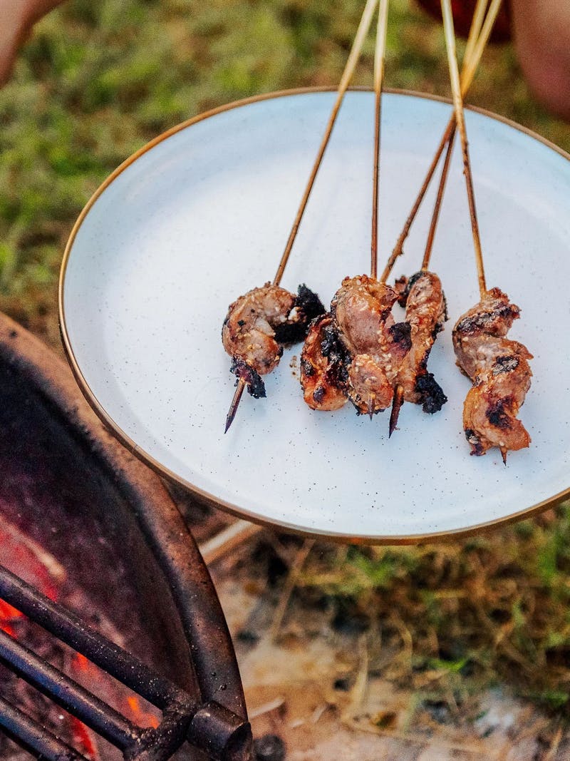 Duck Breast Skewers with Sesame Marinade