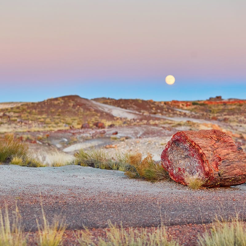 Colorful sunset with red petrified logs on the ground at Petrified Forest National Park