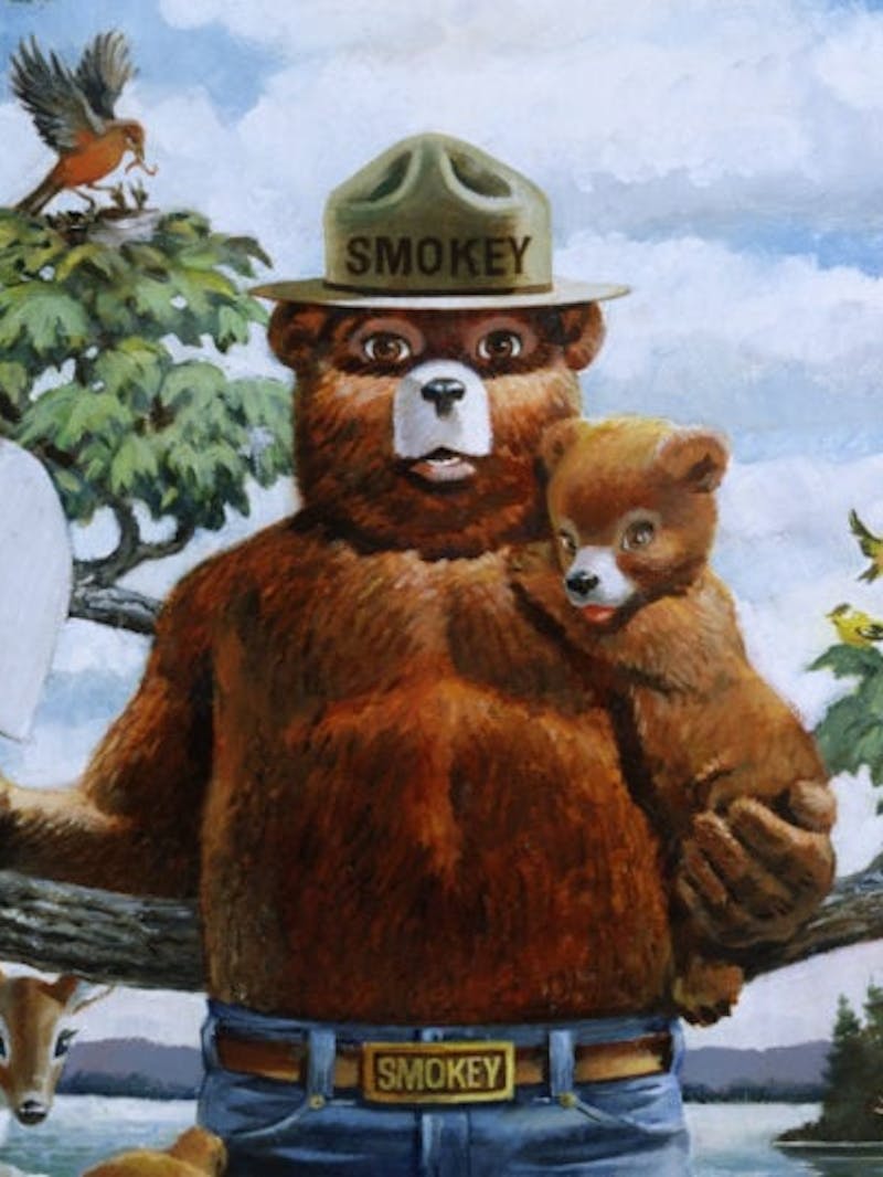 Smokey Bear painting, holding bear cub and shovel 75th anniversary