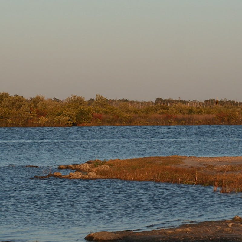 Shores of Ozello Community Park with red-orange grass and blue river