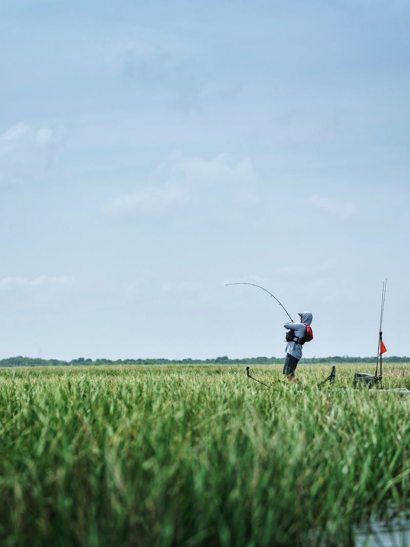 A man fishing on a river, surrounded by aquatic grass and green sky.