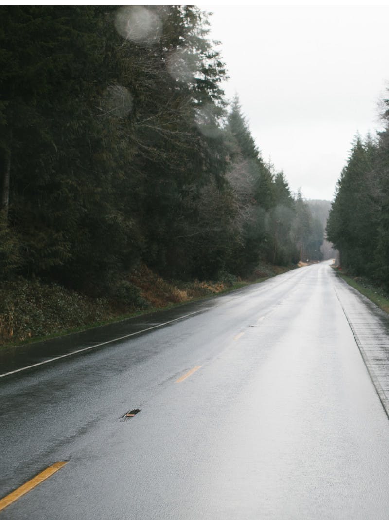 A shot of a wet, black road advancing toward the horizon and lined with pine trees. 