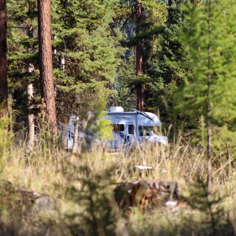 Class C RV partially hidden among green trees and tall, brown grass