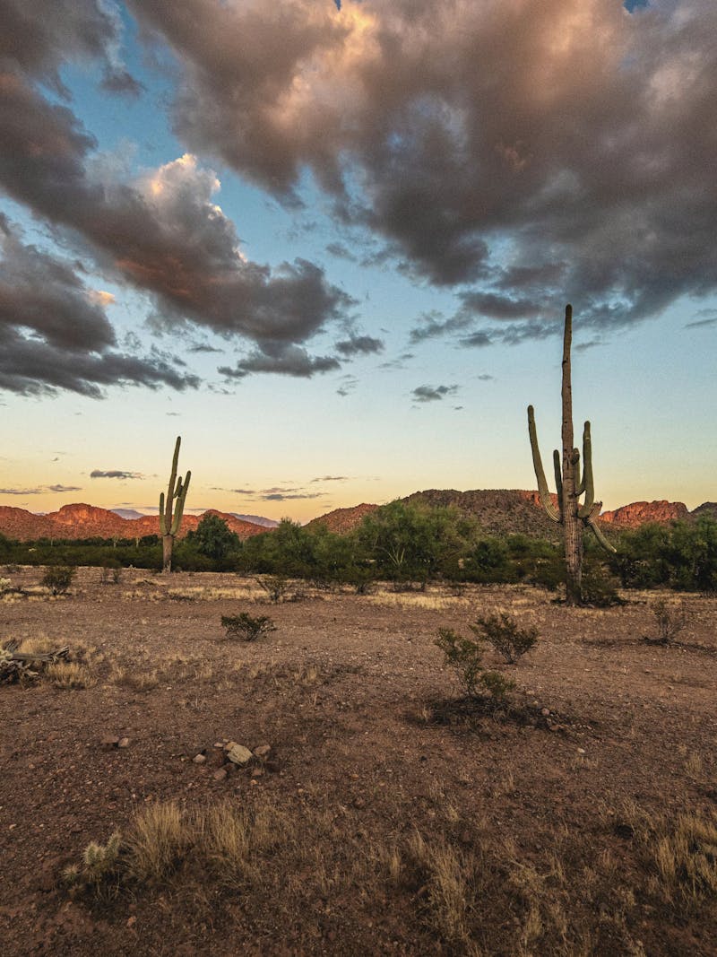A desert landscape in Arizona