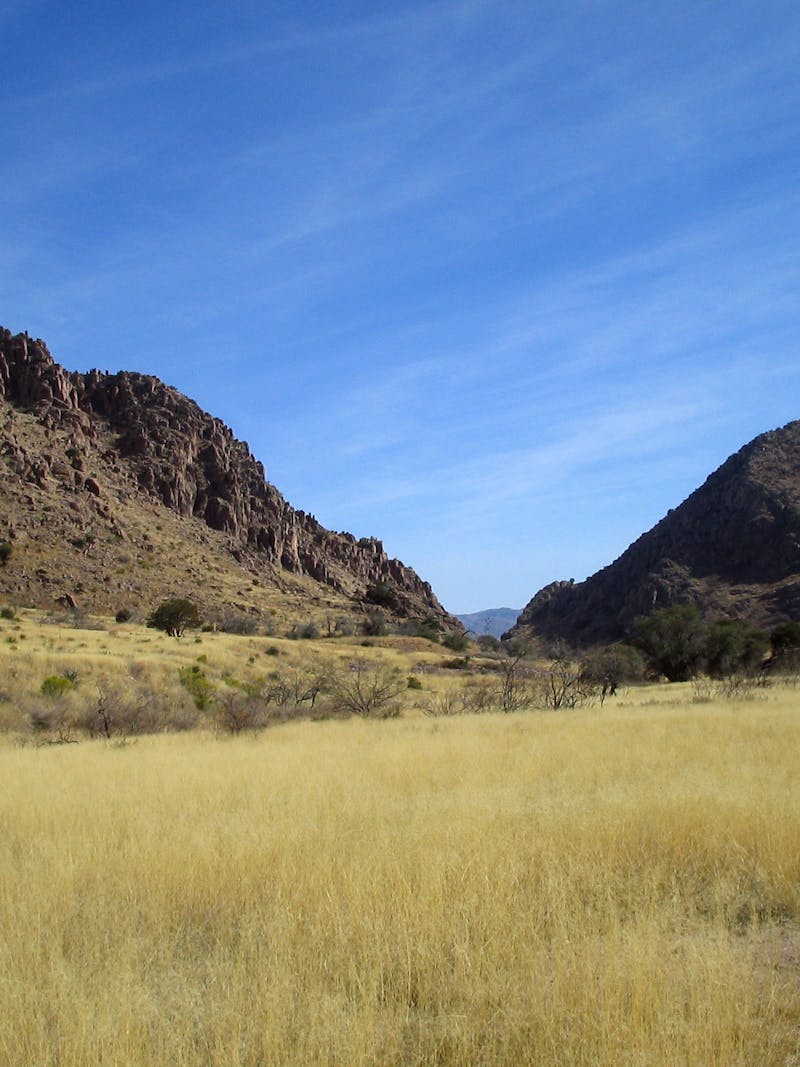 A view of rocky hills and tallgrass in Coronado National Forest (National Forest Foundation)