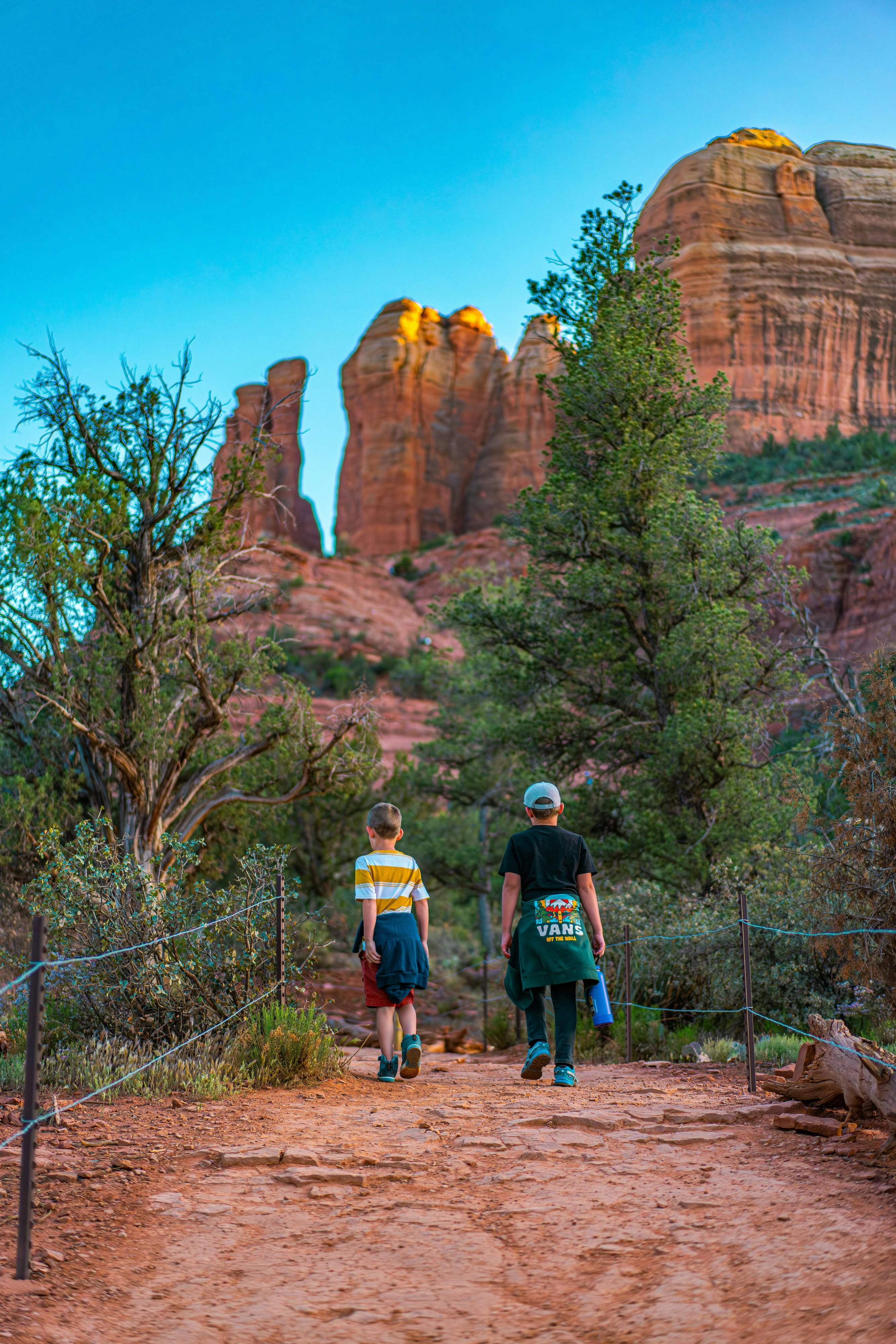 Renee Tilby's children on a hike in coconino national forest
