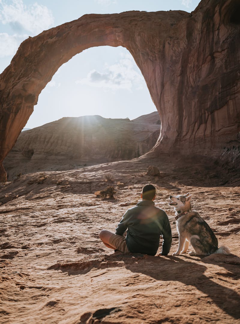 Nico and a husky watching the sun go down over a mountain crest.