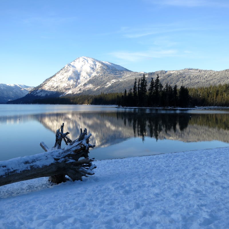 Snowy fallen log next to a large lake with a tall, snowy mountain peak in the background