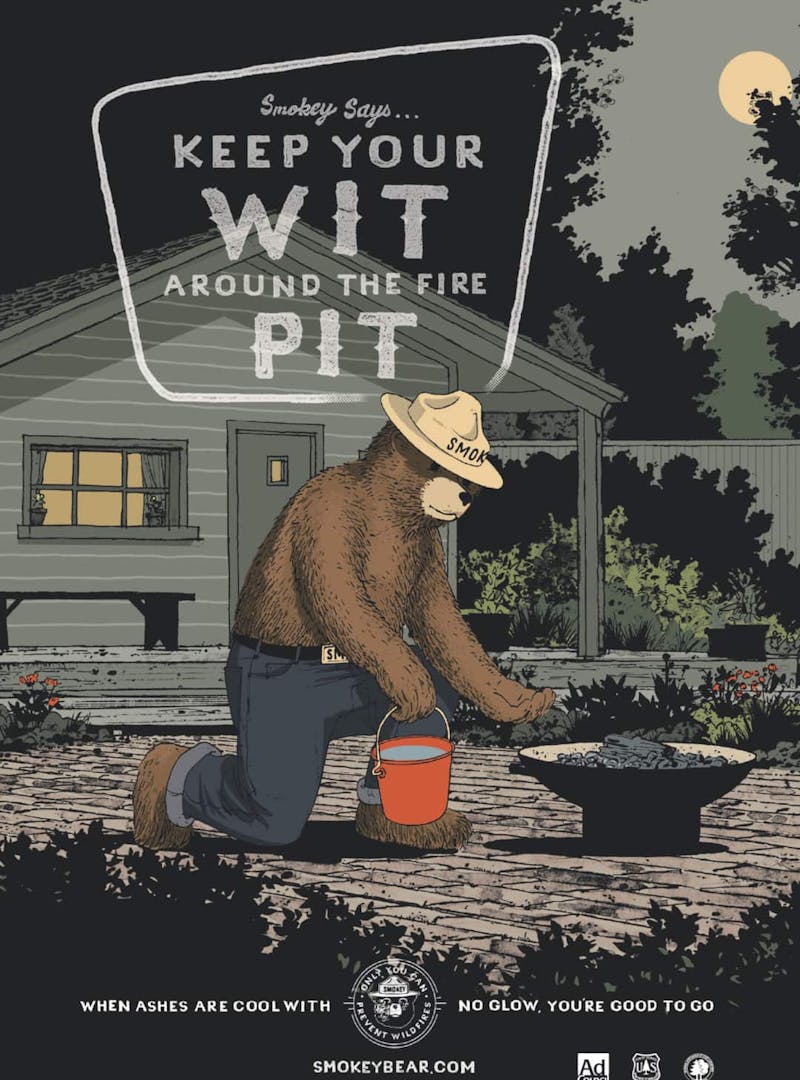 Current Smokey Bear illustrated PSA