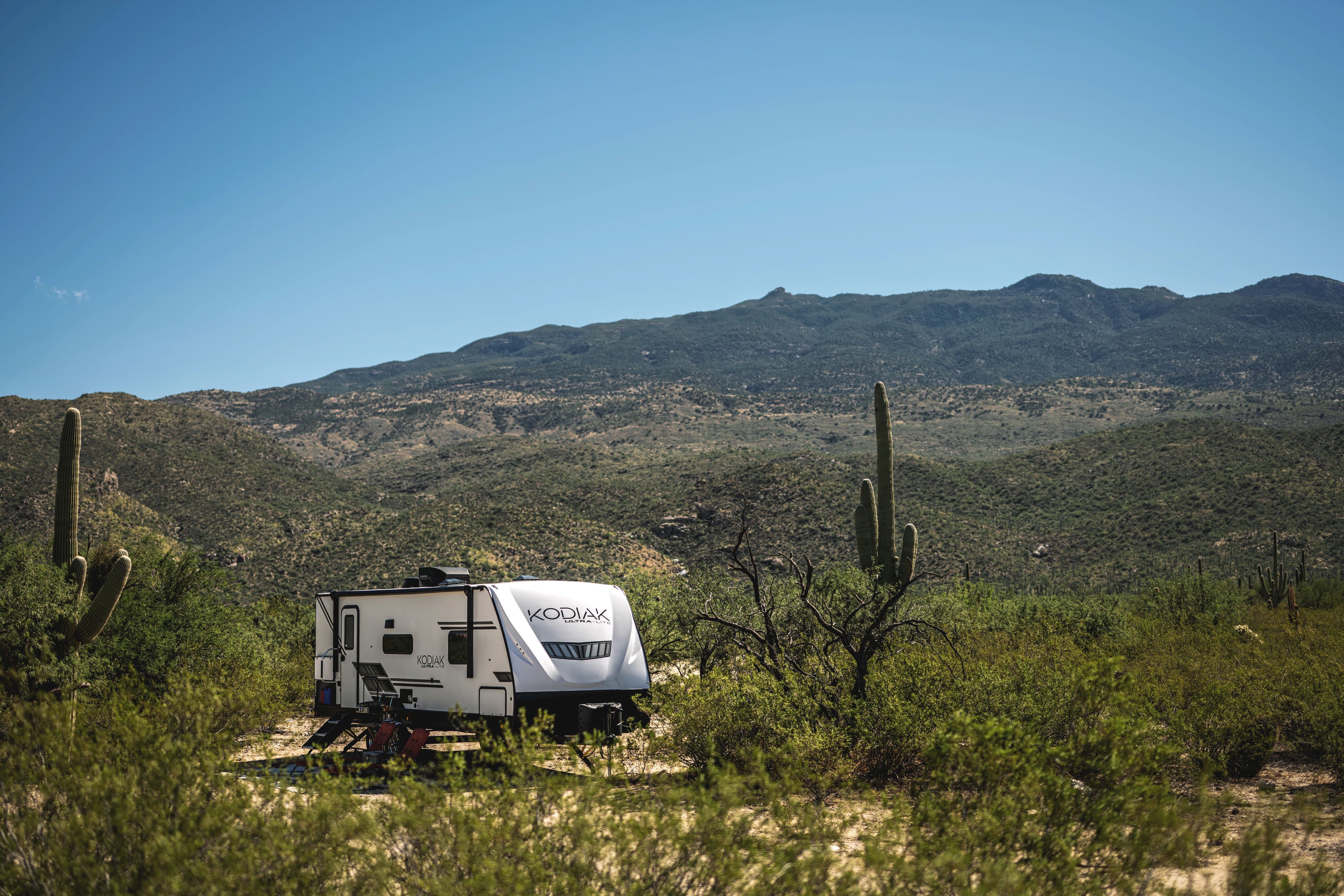 What to look for at the 2023 Midessa Boat, RV, Sports & Gun Show THOR Industries