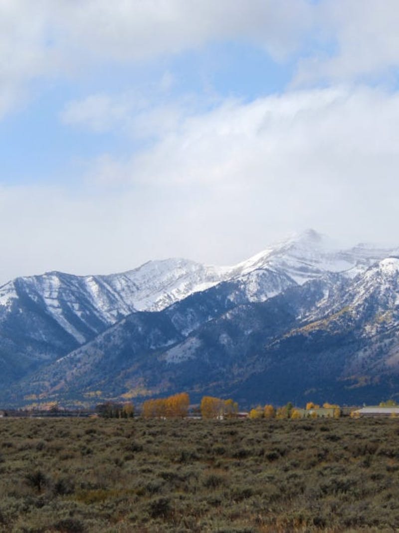 Snowy mountain peaks and brown grassland at Grand Teton National Park