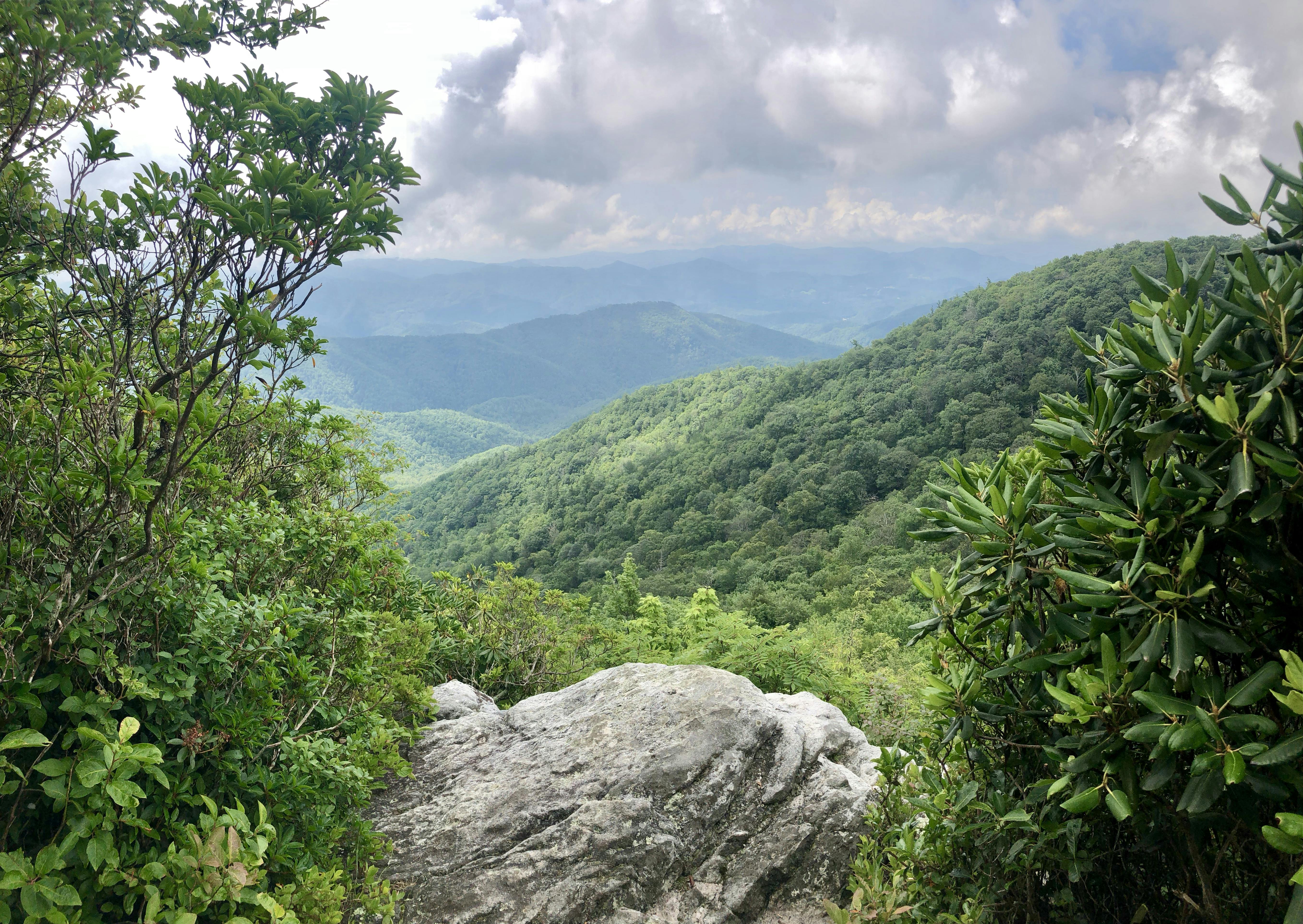 A vista of Cherokee National Forest