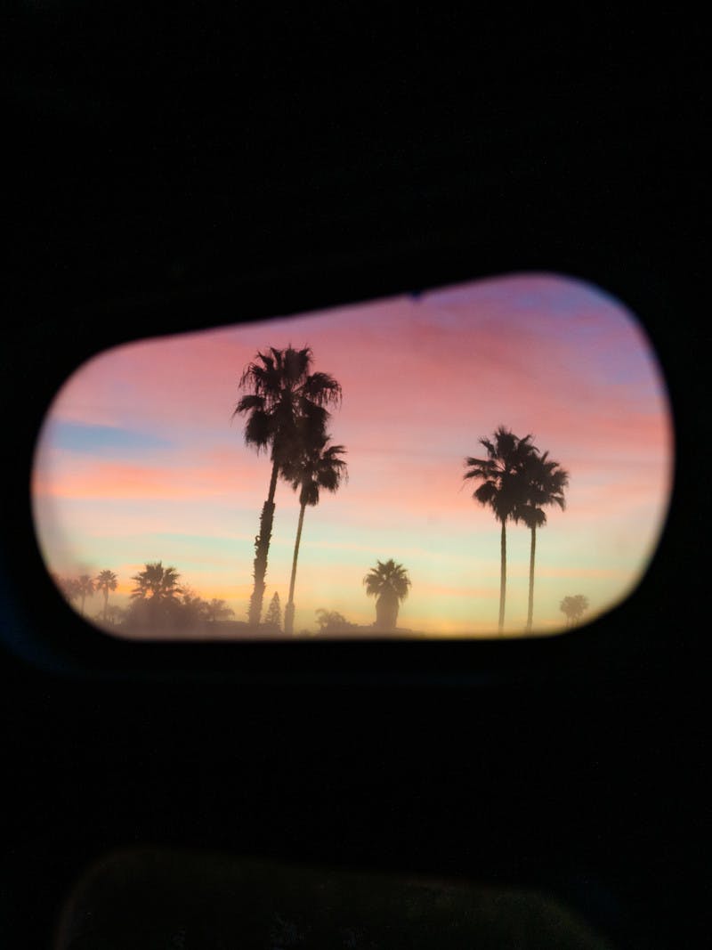 Palm trees at sunset, seen through an oblong, rounded Airstream Travel Trailer RV window. 