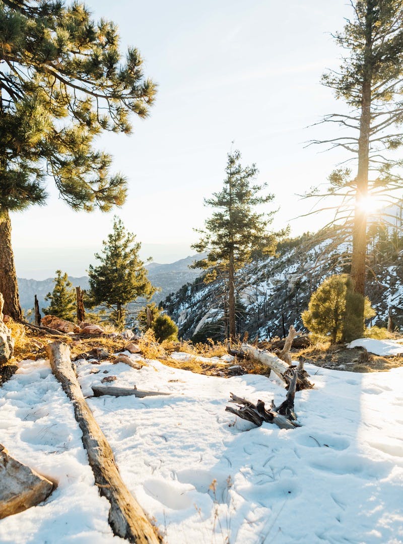 Landscape image of a view from a mountain top overlooking a snow covered forest.