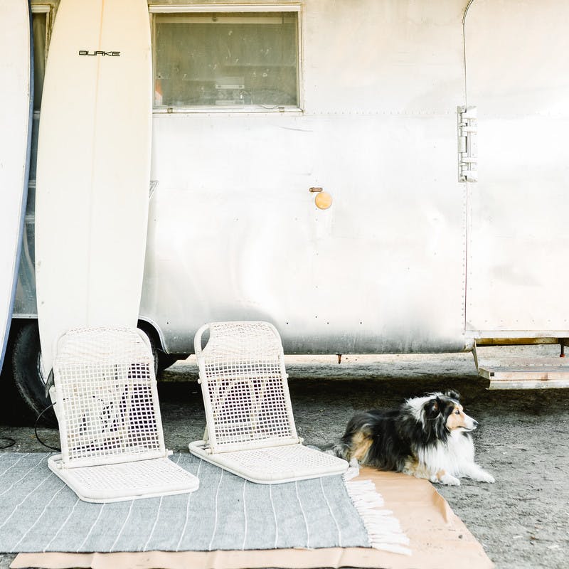 Right out front Airstream RV, two surfboards rest against the side, with two beach chairs, a mat, and a fluffy black and white dog.