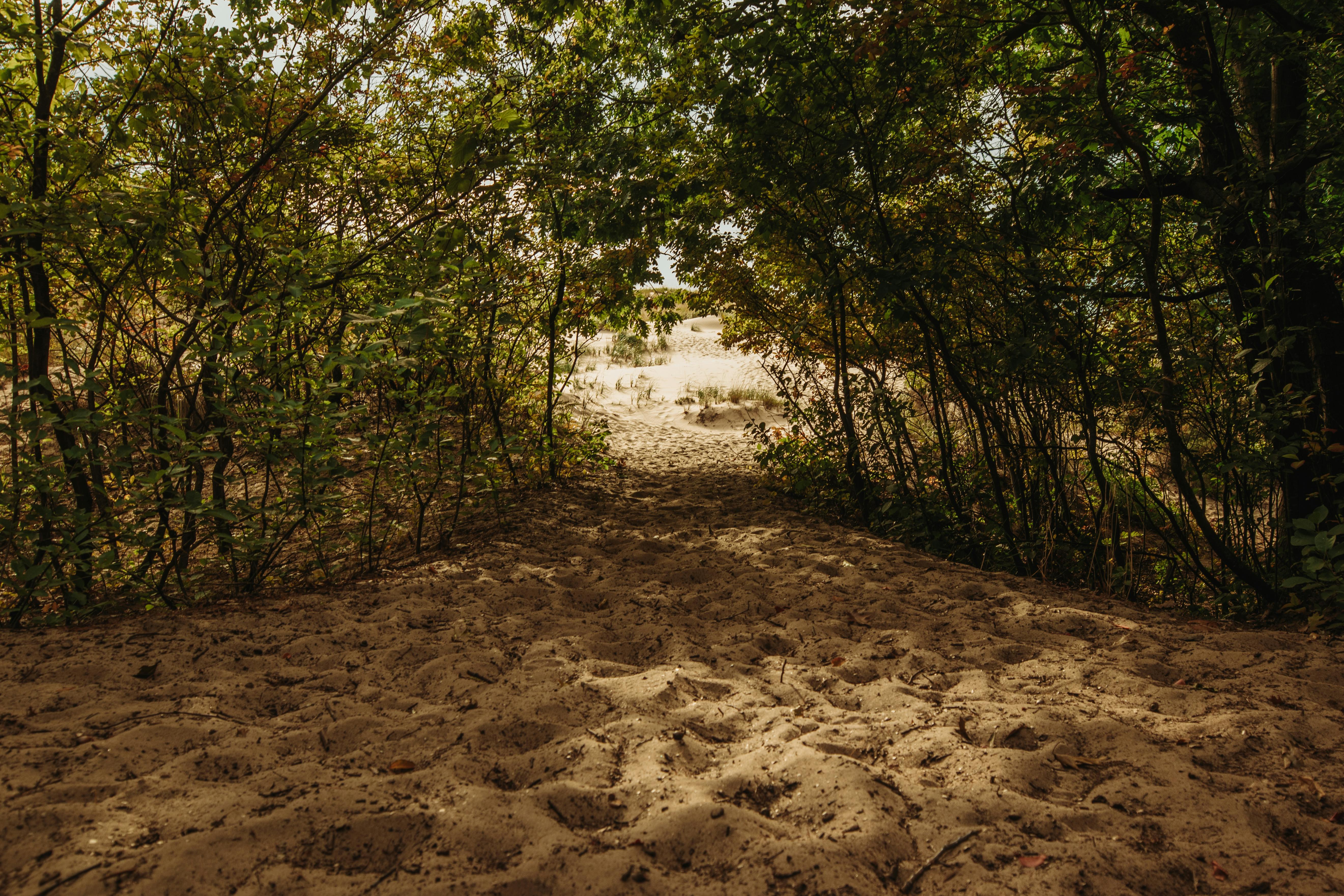 A sandy trail leading to Lake Michigan at Huron-Manistee National Forest captured by Andy and Kris Murphy