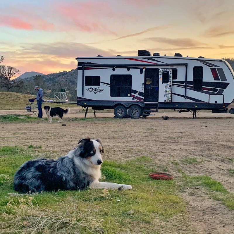 Amy Rekart's dog sits in the grass in front of their Cruiser Styker toy hauler while Mathew cooks on a grill.