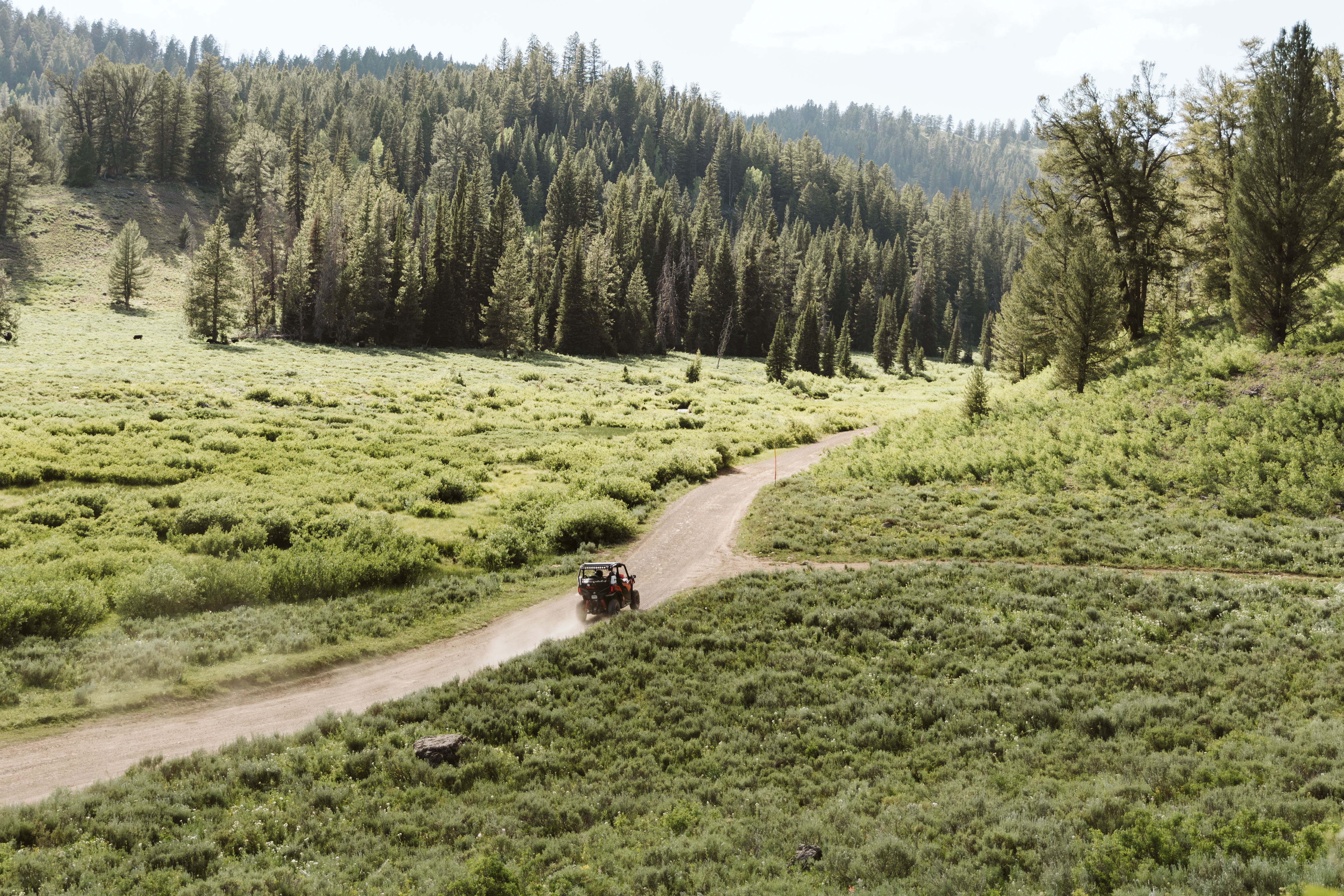 A side by side driving down a scenic trail. 