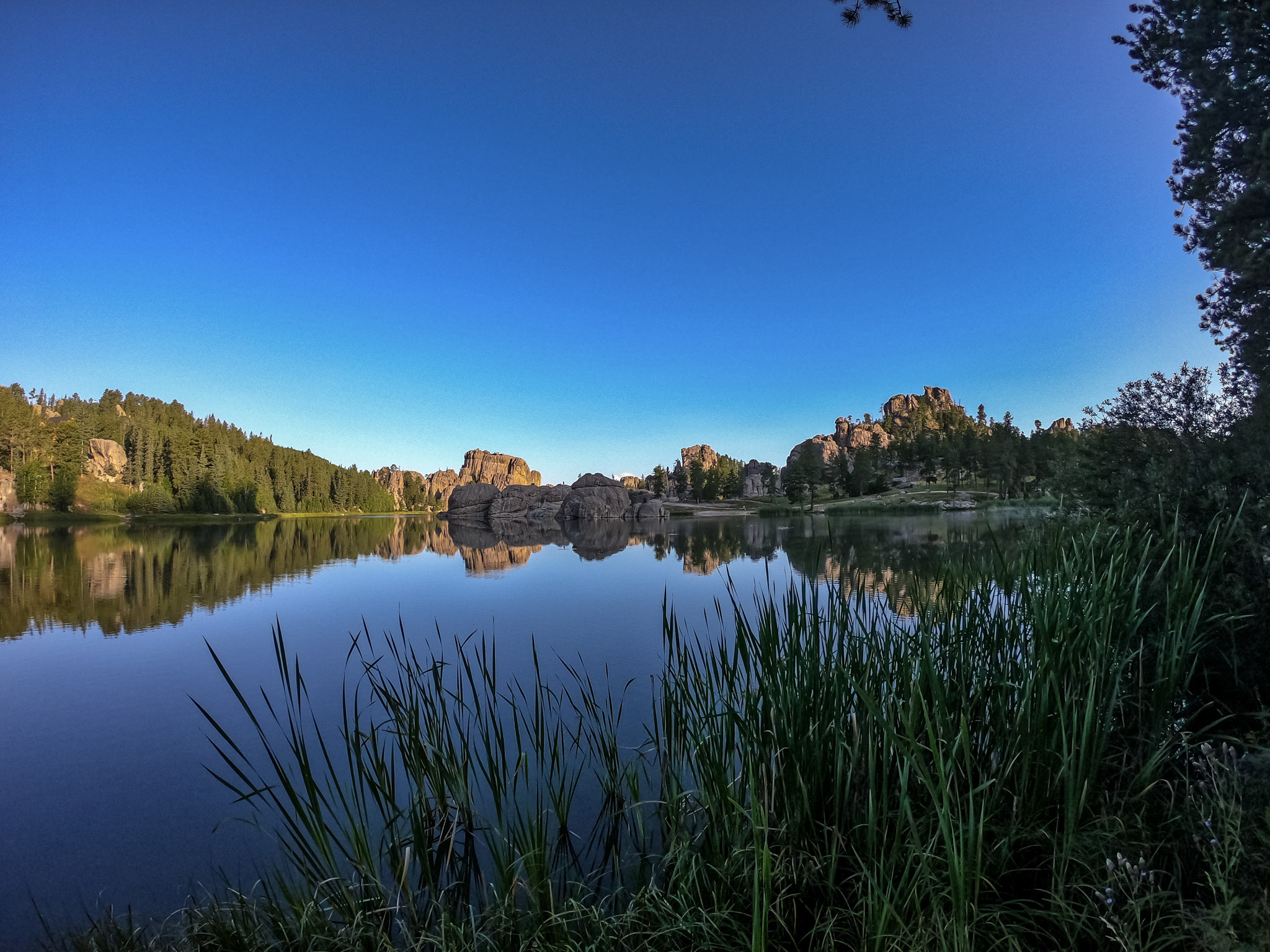 A glassy, still lake reflecting blue skies and evergreens.