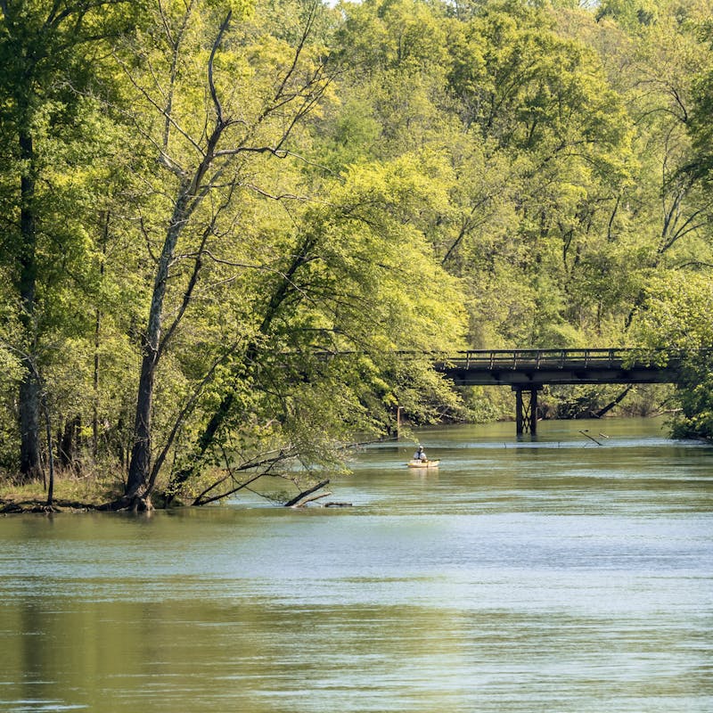 Catawba River, North Carolina Fishing Report