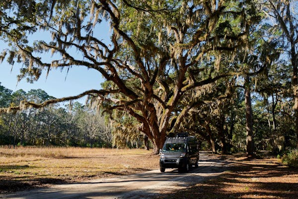 Gabe and Rocio Rivero drive down the road under large oak trees with spanish moss