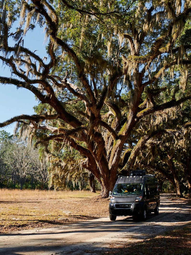 Gabe and Rocio Rivero drive down the road under large oak trees with spanish moss