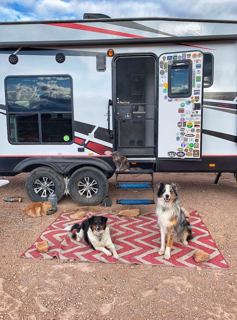 Amy Rekart's two dogs and two cats enjoy time outside of their 2020 Cruiser Stryker RV.