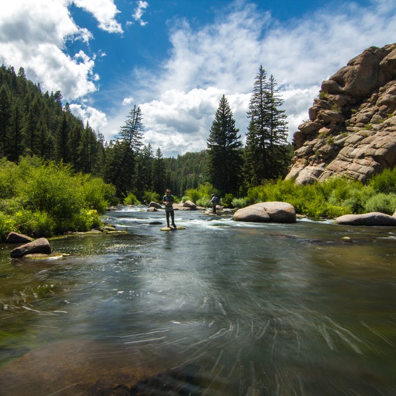 A complete guide to fly fishing your way through the Mountains