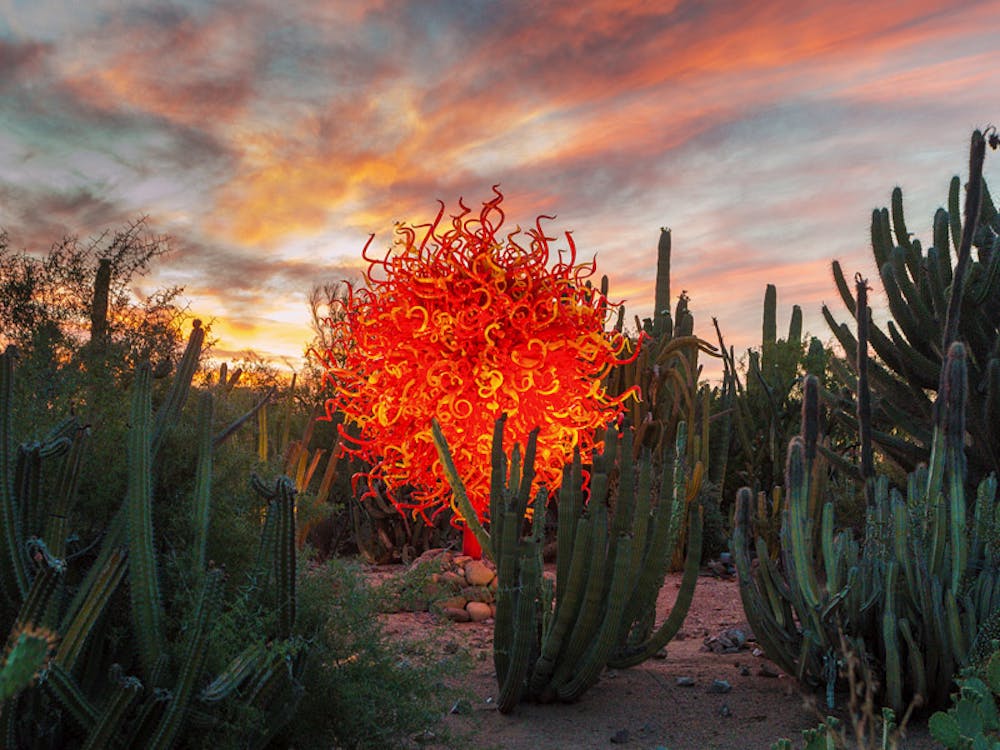 Blog Desert Botanical Garden – Phoenix, Arizona