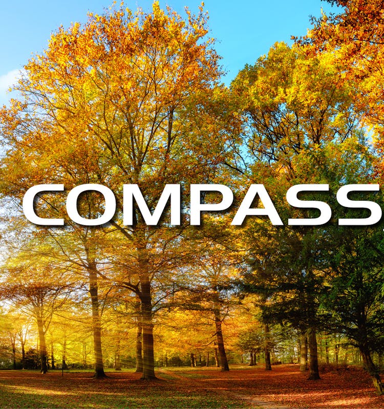 Compass AWD with sun coming through the fall trees