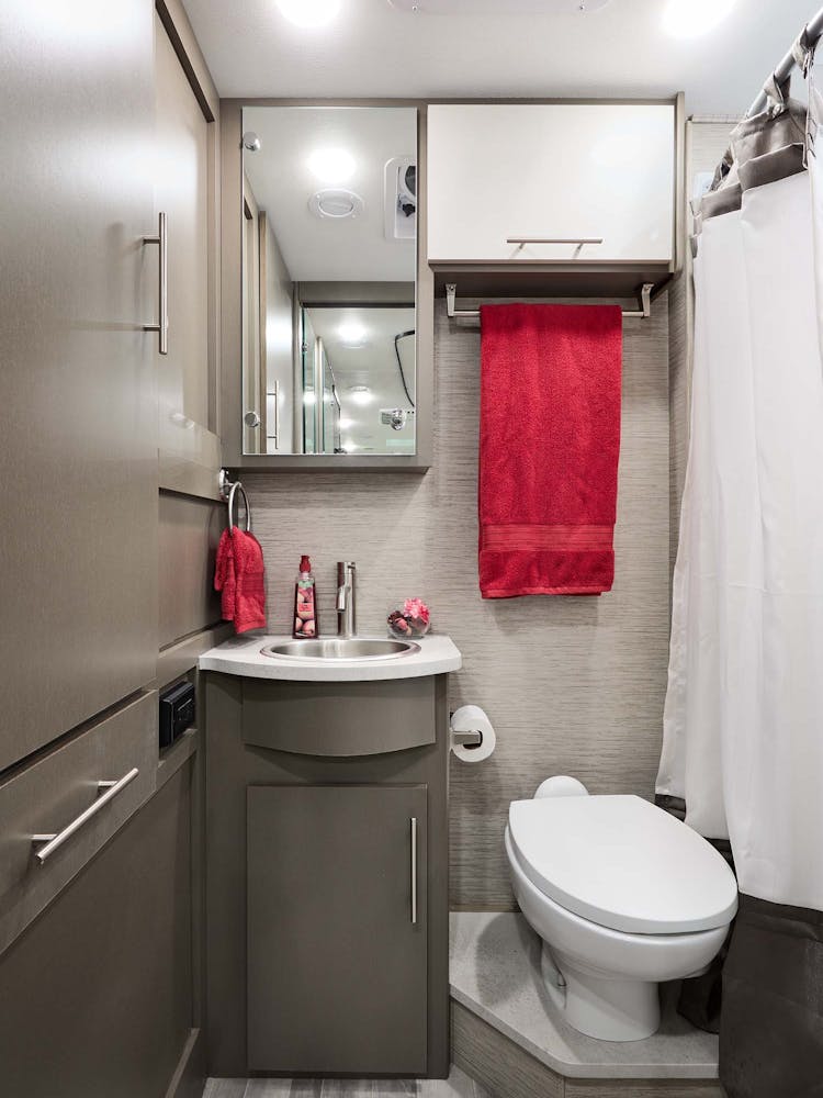 2022 Thor Axis Class A RV 24.4 Bathroom - Liquid Mercury Silver Oak Cabinetry