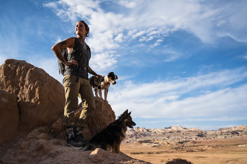 Trip Essentials: Pet Edition