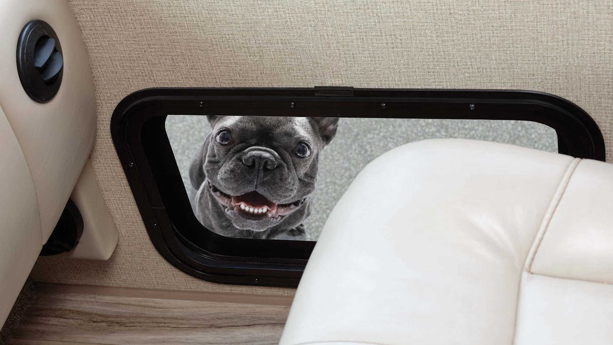 2018 Thor ACE Class A RV 30.4 Birds Eye Window™ Dog in window pet window pet friendly feature key feature photo