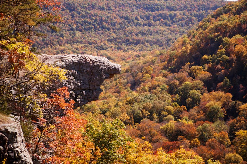 Top 5 Leaf Peeping Destinations to Visit this Fall