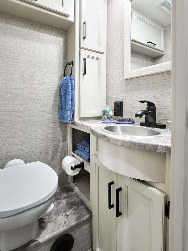 2022 Thor ACE Class A RV 30.3 Bathroom - Home Collection™ Estate Grey