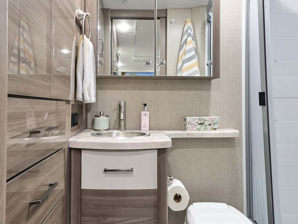 Delano Snow Leopard Luxury Grey bathroom