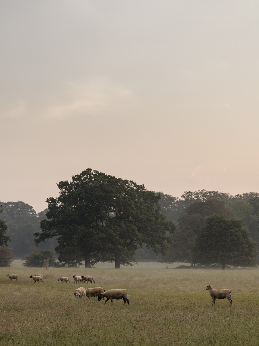 Thorp_of_London_Landscape_Norfolk