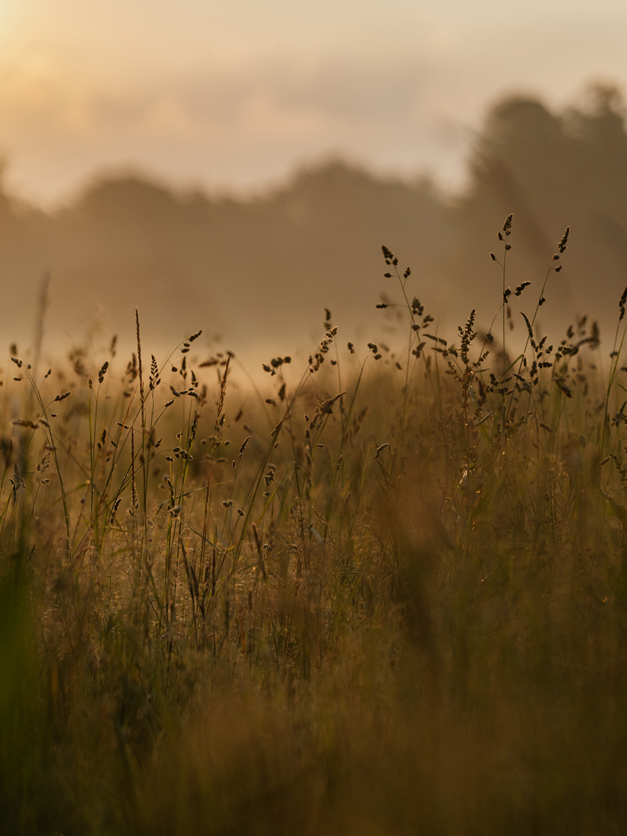 Thorp_of_London_Landscape_Norfolk