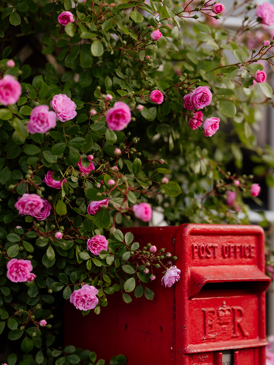 Thorp_of_London_Landscape_Norfolk